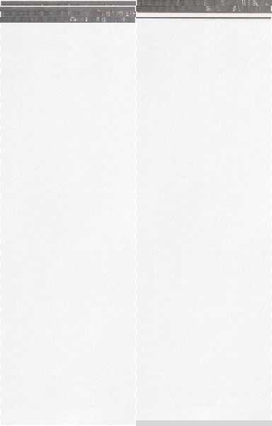 Courier Mailing Envelope: 24